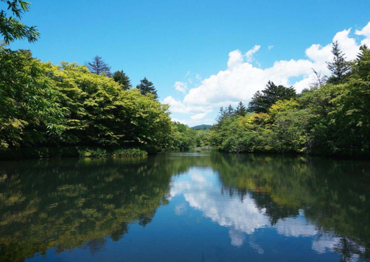 Image of Kumoba Pond, a serene and picturesque pond located in Karuizawa, Japan. Surrounded by lush greenery and beautiful trees, it offers a tranquil setting with its calm waters and reflections, making it a popular spot for relaxation and nature appreciation.