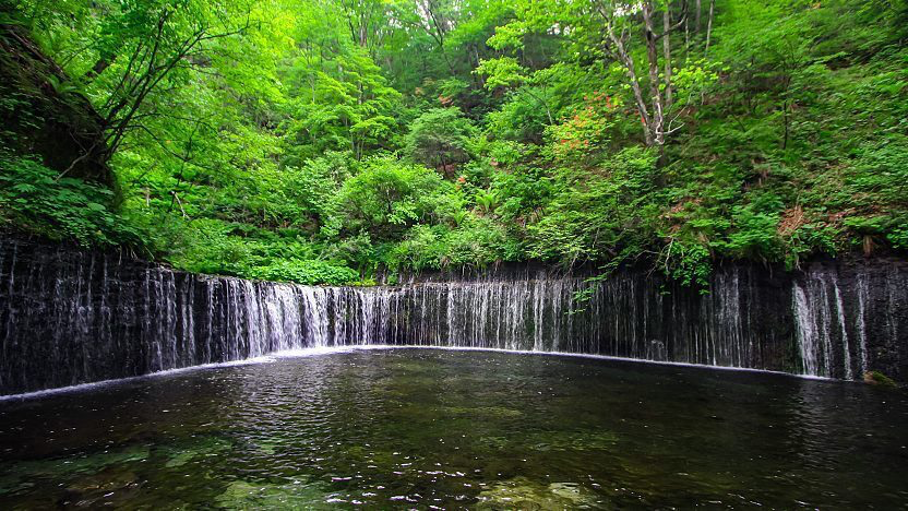Image of Shiraito Falls, a stunning waterfall located in Karuizawa, Japan. The falls cascade gracefully down a rocky cliff, creating a veil-like appearance as the water spreads out like a white curtain. Surrounded by lush greenery, it is a breathtaking natural attraction.