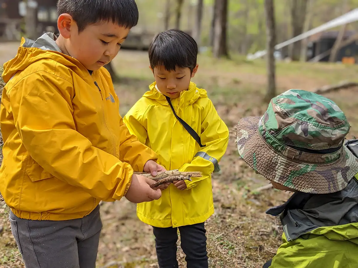 Two friends, standing in Rising Field Karuizawa, a picturesque forest setting. They are engrossed in examining a collection of sticks they gathered for the campfire. With focused expressions, they carefully select the best sticks to fuel their upcoming outdoor fire.