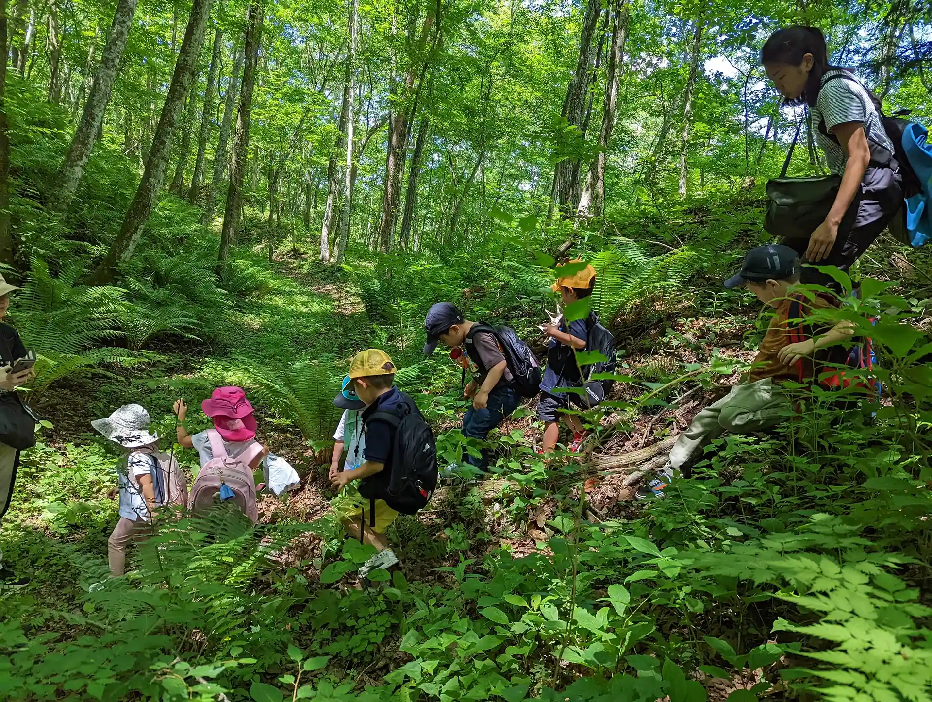 iforest International School Japan students walk down a slope.