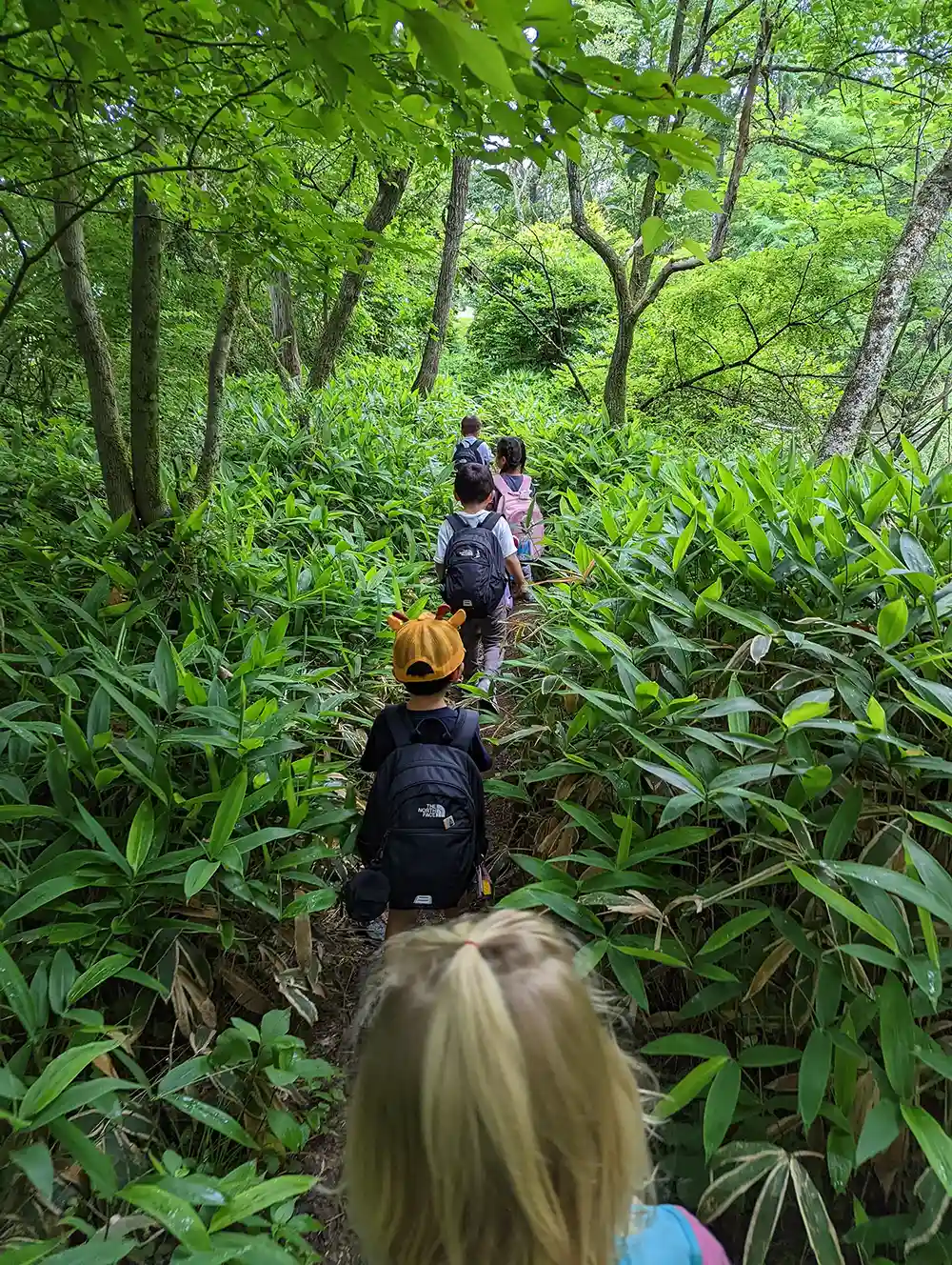 iforest International School Japan students hiking.