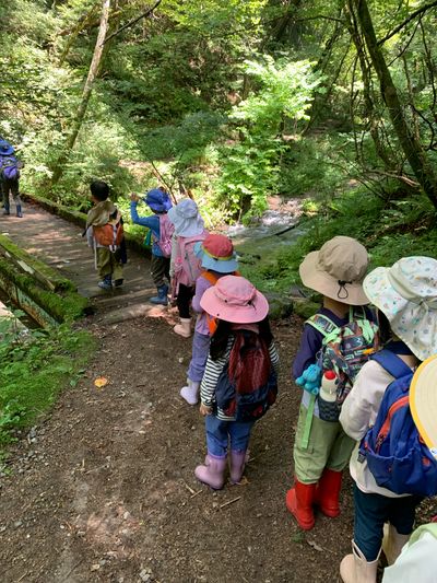 Karuizawa Nature School photo 73