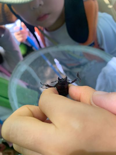 Karuizawa Nature School photo 72