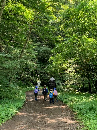 Karuizawa Nature School photo 23