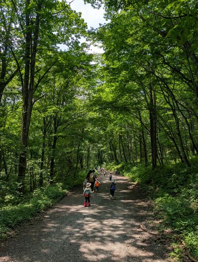 Karuizawa Nature School photo 6