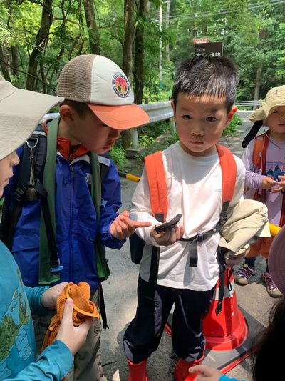 Karuizawa Nature School photo 24
