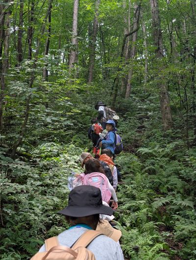 Karuizawa Nature School photo 54