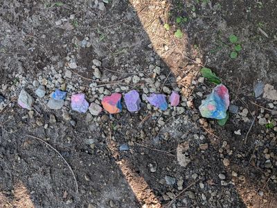 Karuizawa Nature School photo 66