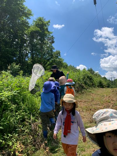 Karuizawa Nature School photo 18