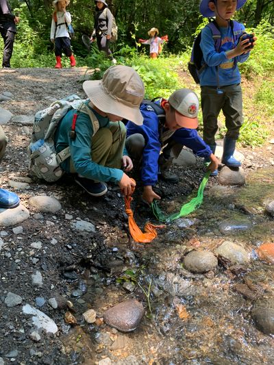 Karuizawa Nature School photo 20