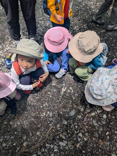 Karuizawa Nature School photo 9