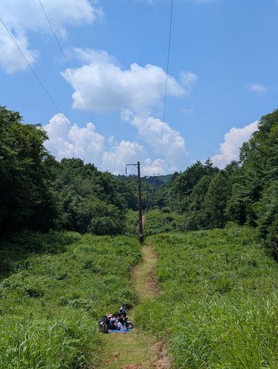 Karuizawa Nature School photo 51